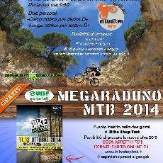 Megaraduno 2014